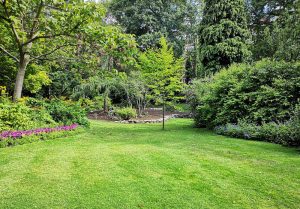 Optimiser l'expérience du jardin à Amenucourt
